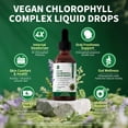 thumbnail image 3 of Chlorophyll Liquid Drops with Copper, Chlorophyll Supplement, Detox & Immune Support,Antioxidant & Digestion Support,2 fl oz, 3 of 7
