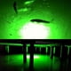 LED Submersible Nuit Pêche Lumière 12V Sous-Marin Fish Finder Lampe Attire Crevettes Nouveau – image 3 sur 5