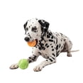 thumbnail image 1 of One Paw, 2-Pack Summer Tennis Ball Set for Dogs, Summer Fecth Play, Orange and Green, 1 of 7