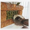 thumbnail image 4 of Pet Wooden  Feeder, Easy Installation Rabbits  Rack Reduce Waste Stainless Steel Grid Safe Trapezoidal Design  For Small Animals For Eating, 4 of 8