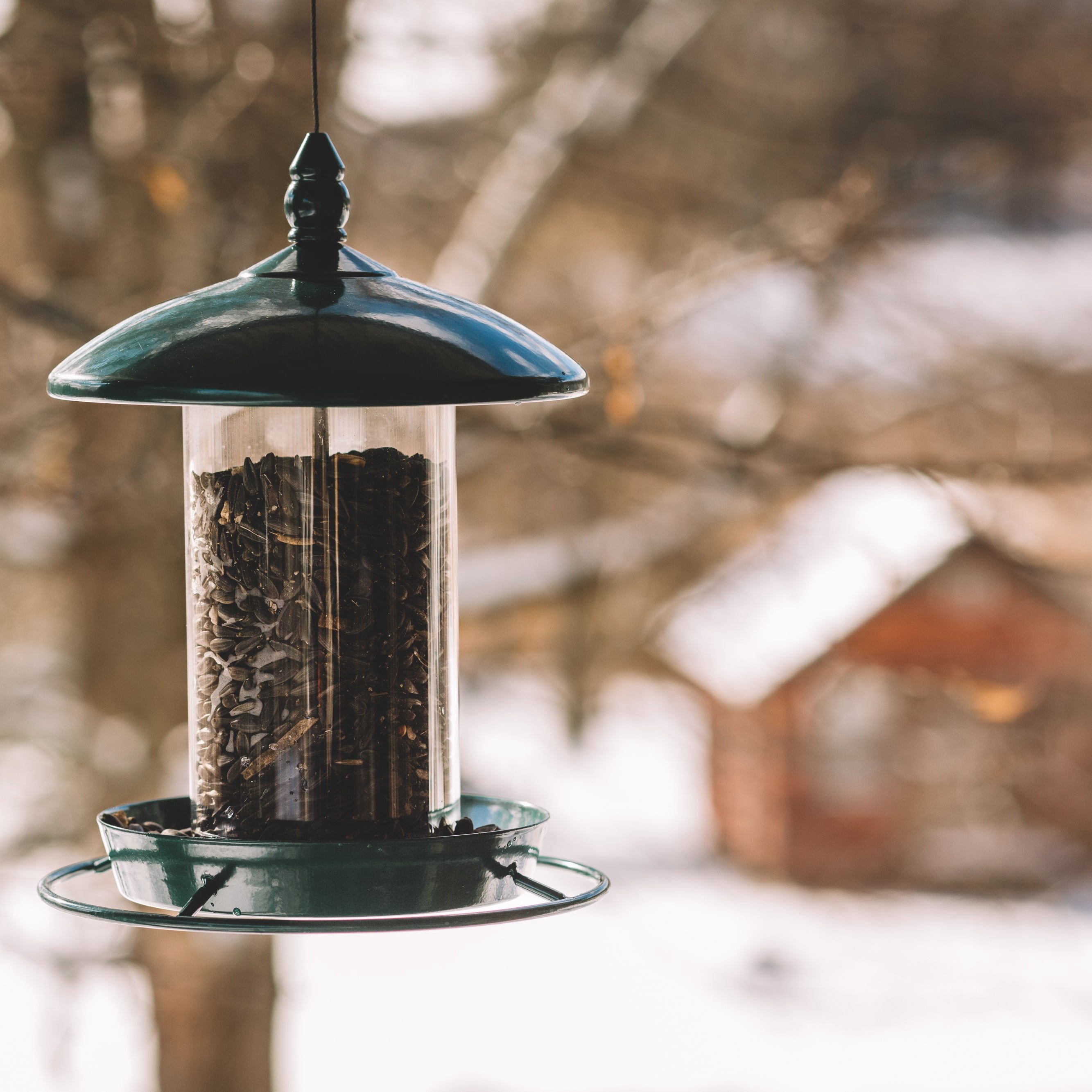 Metal Bird Feeder for Outside Hanging, Wild Bird Feeders for Cardinal, Large Roof and Tray - 6 Port
