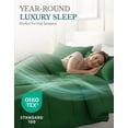 thumbnail image 5 of Casa Platino Twin XL Comforter Set – Down Alternative Bedding Set - Pre-Washed Comfy Brushed Microfiber Twin XL Comforter & 1Pillow Sham - Olive Green, 5 of 9