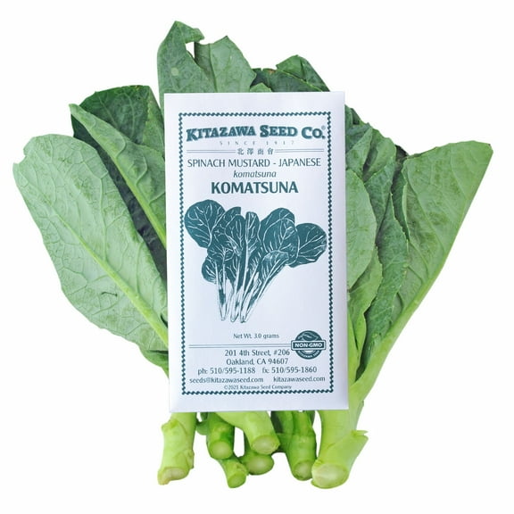 Japanese Komatsuna Mustard Seeds - 3 g Packet ~800 Seeds - Asian Vegetable, Herb & Microgreens Seeds - Heirloom Gardening Seeds