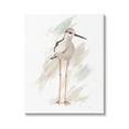 thumbnail image 4 of Stupell Industries Passive Shorebird Long Beak Bird Illuminated Beach,24 x 30, Design by Patricia Pinto, 4 of 5