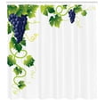 thumbnail image 3 of Ambesonne Vine Shower Curtain, Weeping Vines Vineyard, 69"Wx84"L, Lime Green Emerald, 3 of 3