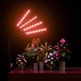 thumbnail image 5 of 4-Head LED Grow Light for Indoor Plants, Plant Light w/ Adjustable Stand (15"-62") & Dual Controllers, Full Spectrum Plant Growing Lights (Red/Blue/Mix), 4/8/12H Timer, 10 Brightness & Auto ON/Off, 5 of 11