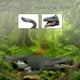 thumbnail image 2 of Juego de figuras grandes Modelo realista Modelo de dinosaurio Mosasaurus Realista Educación, 2 of 8