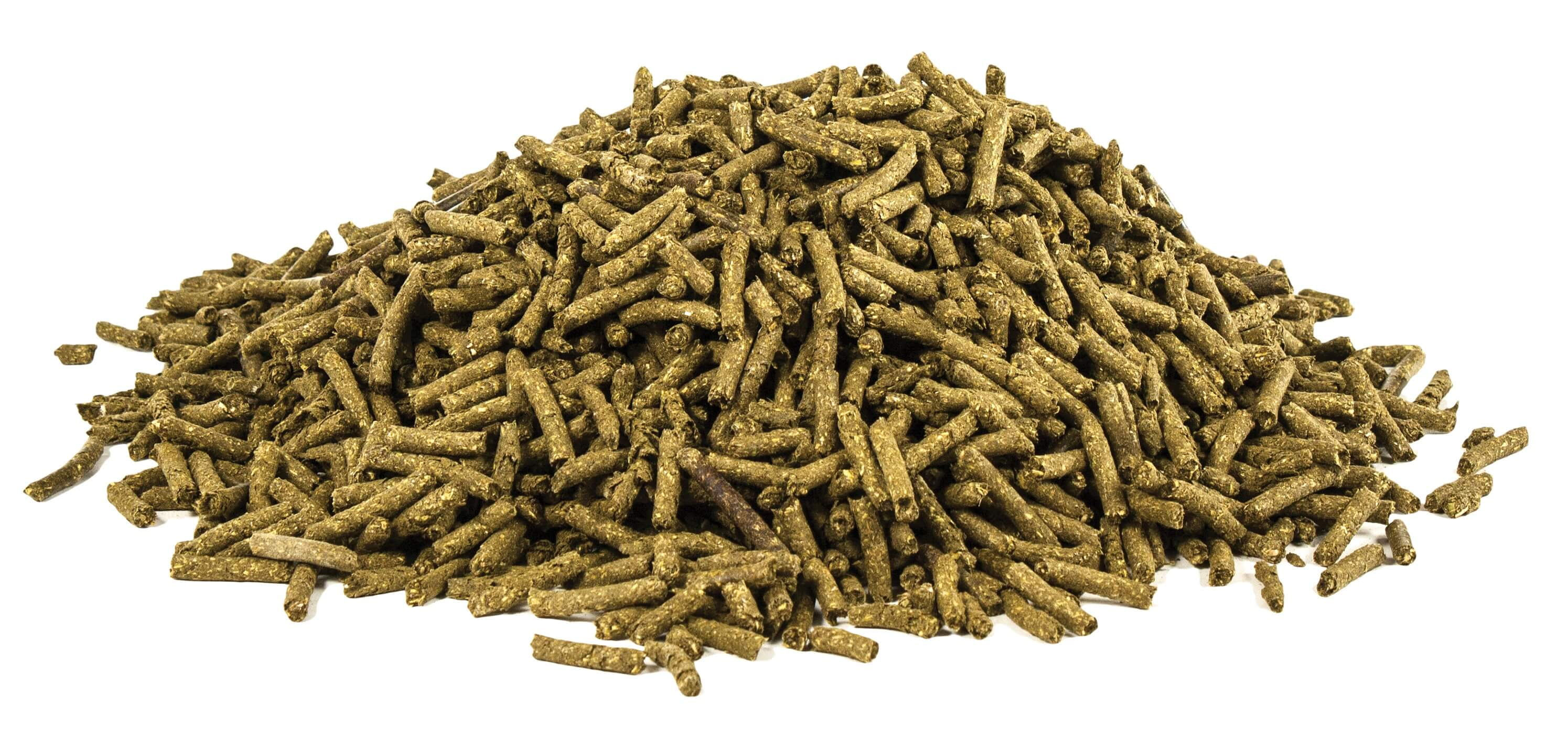 UltraCruz® Equine Probiotic, 25 lb