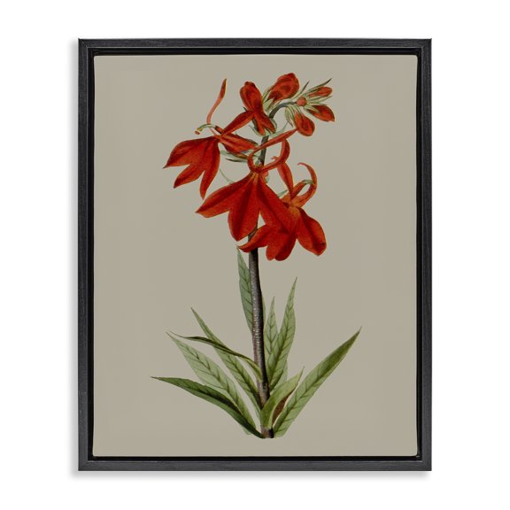 Stupell Industries French Country Traditional Blossom Study Black Floating Frame Canvas Art, 25 x 31, by Vision Studio