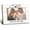 white, variant on Picture Frame 4x6, Family Wooden Picture Frame, Families Frames,   Gifts,   Gifts, First We Had Each Other Family Decorative Photo Frames for Table Desk Decor(White)
