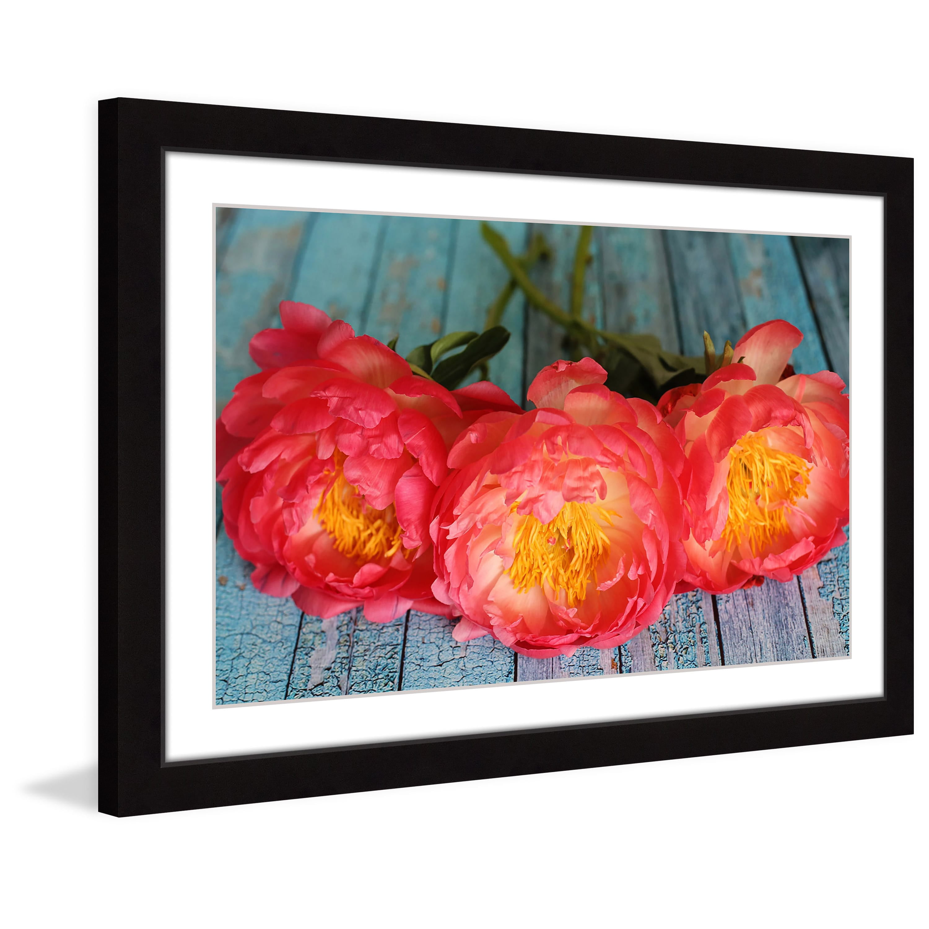 "Coral Peonies" Framed Painting Print
