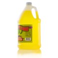 1 gal. Dill Pickle Juice Snow Cone Brine, Each