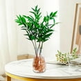 thumbnail image 4 of Transparent Glass-Look Plastic Hydroponic Planter Diamond Shaped Flower Vase for Philodendron Moneywort Green Plants Home Office Desktop Living Room Decor Accents, Clear, 1pc, 4 of 6