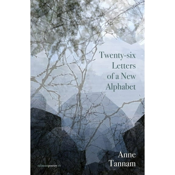 Twenty-Six Letters of a New Alphabet (Paperback)