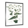 thumbnail image 2 of Designart 'Ancient Plant Life XXII' Traditional Framed Art Print, 2 of 4
