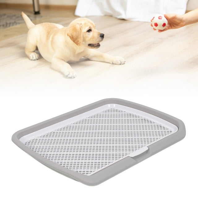 Plateau d'Entraînement pour Chiot, Design à Faible Entrée, Support de Tapis Anti-Déversement, Plateau Détachable et Lavable pour Petites Races
