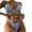 Blue, variant on Elainilye Fashion Swimsuit for Women Solid Bandage Sexy Bra Beach Bikini Set Swimsuit Beachwear Swimwear Bikinis Sets,Blue
