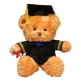 thumbnail image 2 of ​14in PhD Graduation Bear - Pink Faux Velvet Plush w/ Embroidered Regalia, Collectible Scholar Gift Set (Gown, Cap, Diploma, 6+ Safe)​​ Blue, 2 of 7