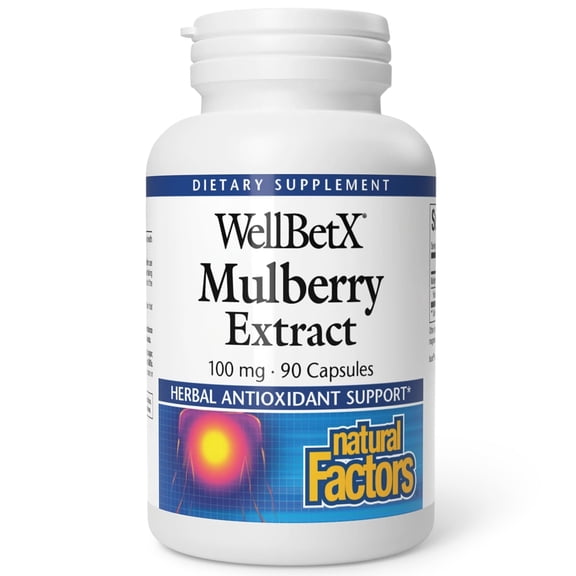 Natural Factors WellBetX Mulberry Extract 100 mg, 90 Capsules