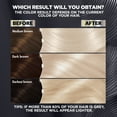 thumbnail image 6 of Garnier Nutrisse Ultra Charcoal Bleach Color Kit, PL3 Ultra Cool Platinum, 6 of 12