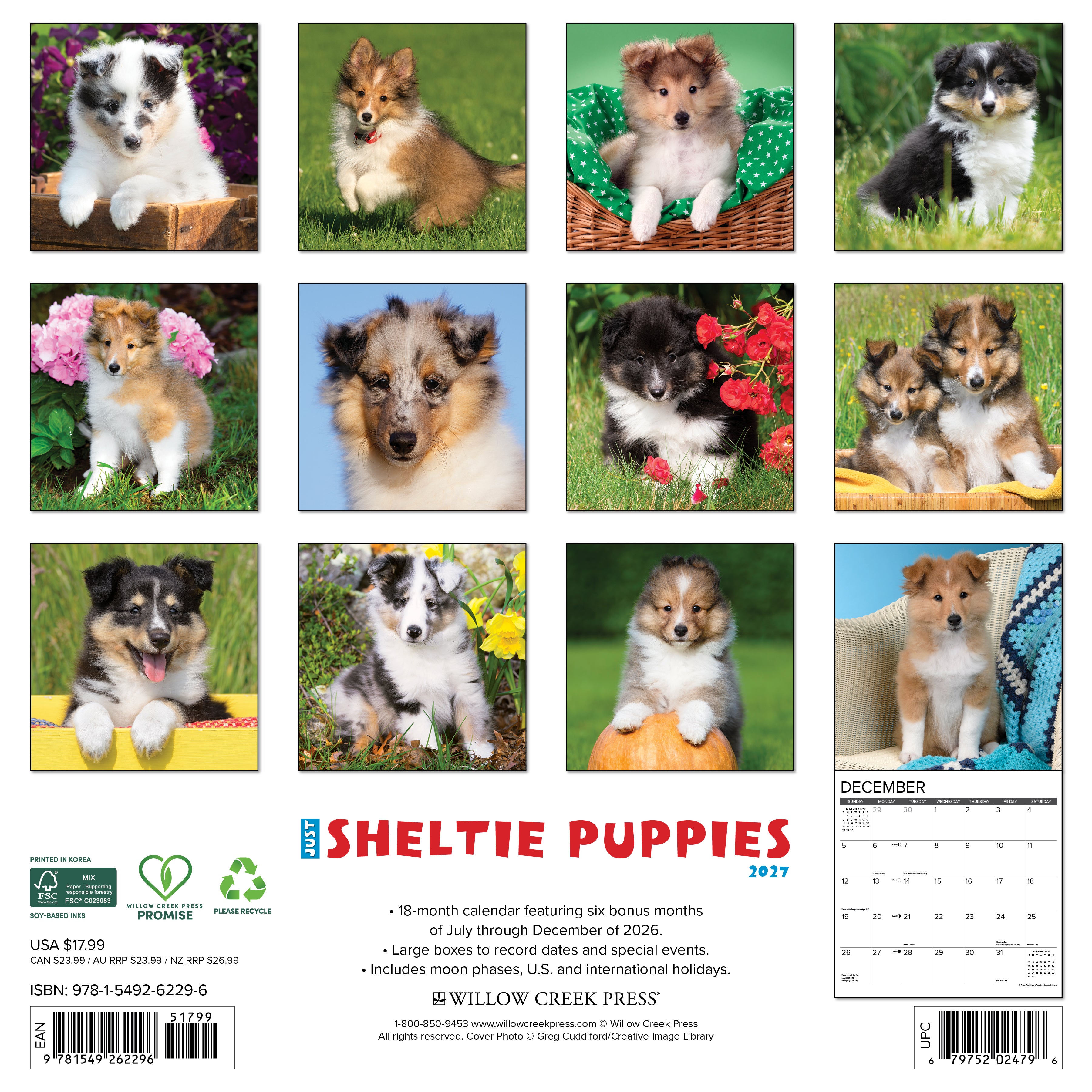 Willow Creek Press, Sheltie Puppies 2027 Wall Calendar