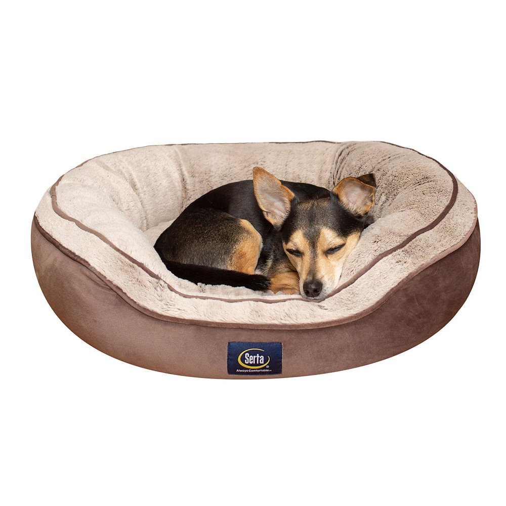 Serta Oval Cuddler Memory Foam Blend Pet Bed, 27" x 25" (Choose Your