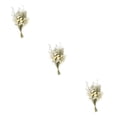 thumbnail image 4 of Yuarrent Dried Flowers Bouquet Dried Plants Flower Decor  Ornament  Wedding Type1, 4 of 6