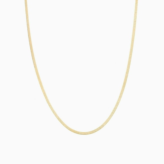 Bearfruit Jewelry Sterling Silver 18k Gold Plated Caroline Basic Chain Necklace