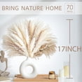 thumbnail image 3 of 96PCS Natural Dried Pampas Grass Boho Home Decor Bouquet Phragmites Dried Flowers Bouquet for Wedding Floral Arrangements Home Decorations (96PCS), 3 of 10
