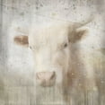 thumbnail image 2 of LightBoxJournal 20x20 White Modern Wood Framed Museum Art Print Titled - Antique Farm 07, 2 of 4