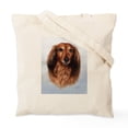 thumbnail image 2 of CafePress - Dachshund Red Longhair 1 Tote Bag - Unisex Canvas Tote Bag, Beige, 1-Piece, 2 of 8