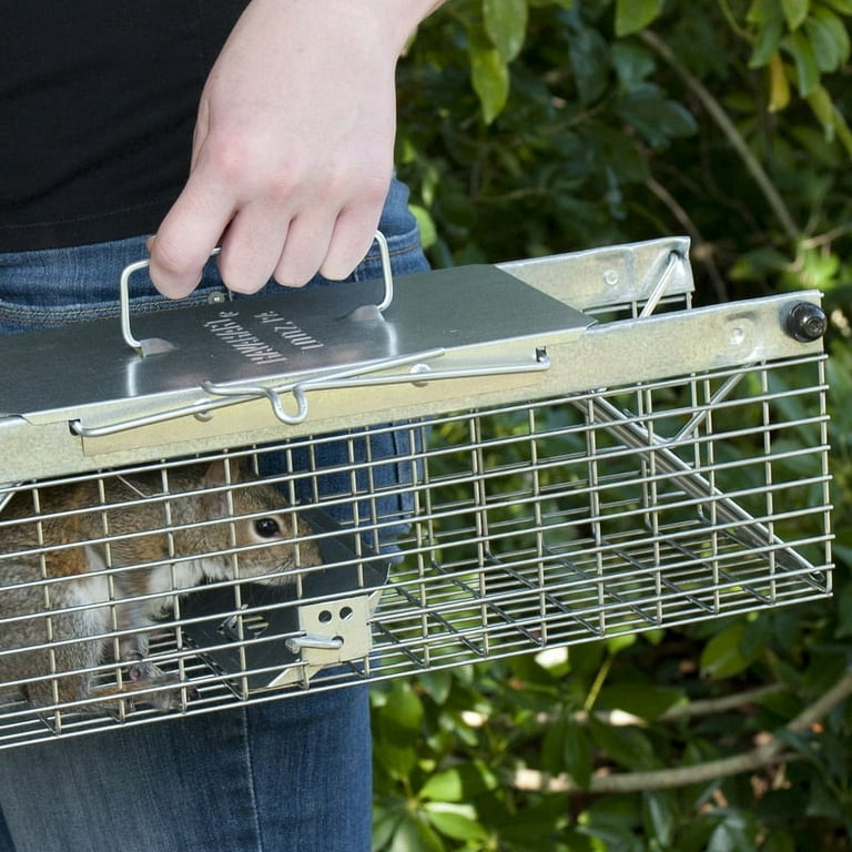 Havahart Small Squirrel 2-Door Animal Trap 
