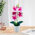 thumbnail image 5 of Farfi Elegant Artificial Bonsai Easy Care 5 Heads Beautiful Artificial Orchid Flowers Party Supplies (White), 5 of 13