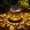 HUDE, variant on Fohil Butterfly Solar Lanterns Outdoor Metal Waterproof Hanging Solar LED Lights, Gifts for Mom Grandma Women