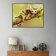 thumbnail image 3 of Gato Tigre Moneky Diamante Costura DIY 5D Animal Diamante de imitación Pintura Bordado de cristal Oficina en casa Punto de cruz Inevent JJ14136-06, 3 of 6
