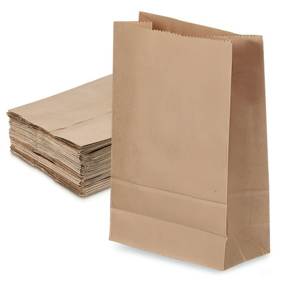 CCOCC Kraft Brown Paper Bags (50Count) - Kraft Brown Paper Grocery Bags Bulk - Large Paper Bags for Grocery Shopping, 2012.530