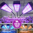 thumbnail image 5 of Bell+Howell Bionic Grow Light for Indoor Plants 3 Heads Flexible Growing Lamp with 8 Brightness Settings, 3 Light Modes Including Full Spectrum UV Light Growing Plant Light As Seen On TV, 5 of 11