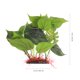 thumbnail image 5 of GOOHOCHY Planta de acuarios decoración de peces plástica planta artificial pez pez betta escondite de peces, 5 of 7