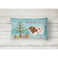 thumbnail image 2 of Carolines Treasures BB9342PW1216 Jacob Sheep Christmas Canvas Fabric Decorative Pillow, Teal, 12H x16W, multicolor, 2 of 3