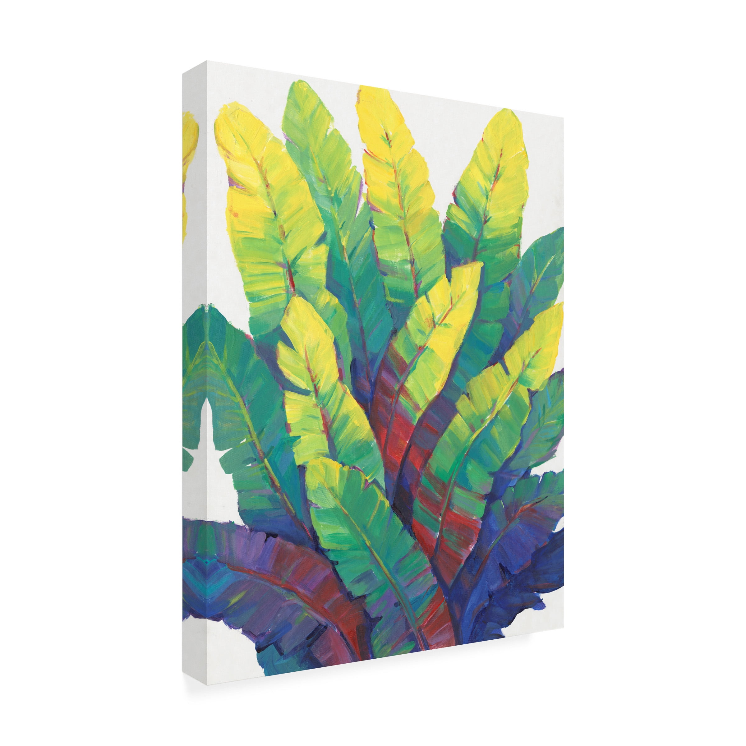 Tim OToole 'Sunlit Banana Leaves I' Canvas Art