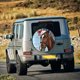 thumbnail image 5 of Fotbe Christmas Horse Funda de Llanta de Repuesto con Estampado, Engrosada, Ajuste Universal para Jeep, Remolque, RV, SUV, Camión-17 inch, 5 of 6