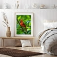 thumbnail image 6 of Diamond Art Kits for Adults - 5d Red Bird Perched Greenery Branch Diamond Painting for Adults, Diamond Art for Adults Beginners, Diamond Painting Kits for Adults for Home Wall Decor, 6 of 7