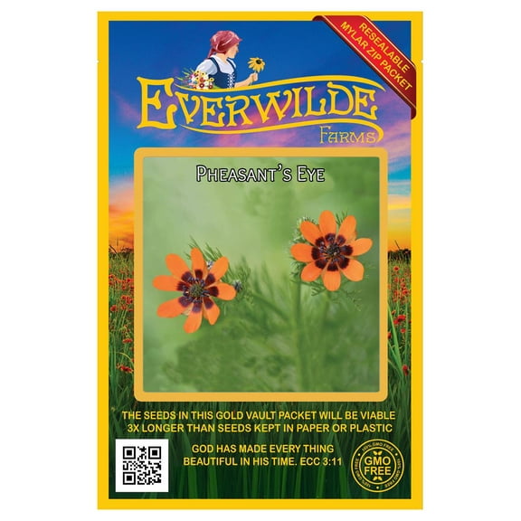 Everwilde Farms - 100 Pheasants Eye Garden Flower Seeds - Gold Vault Jumbo Bulk Seed Packet