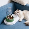 thumbnail image 7 of Pet Bowls Dog Bowls Cat Bowls 2 in 1 Food and Water Bowl 15 Degree Tilted Neck Protection 304 Stainless Steel Non Slip Anti Tip Large Capacity for Cats Dogs Indoor by PALIFEUR, 7 of 7
