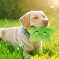 thumbnail image 3 of Dog Interative Star Shaped Squeaky for Cat Teaser Soft for Dogs Puppy Training, 3 of 4
