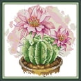 thumbnail image 2 of Kit Punto Cruz Cactus Impreso 14 Quilates Con Hilo Algodón Ecológico Y Bordado Parcial (H963), 2 of 9