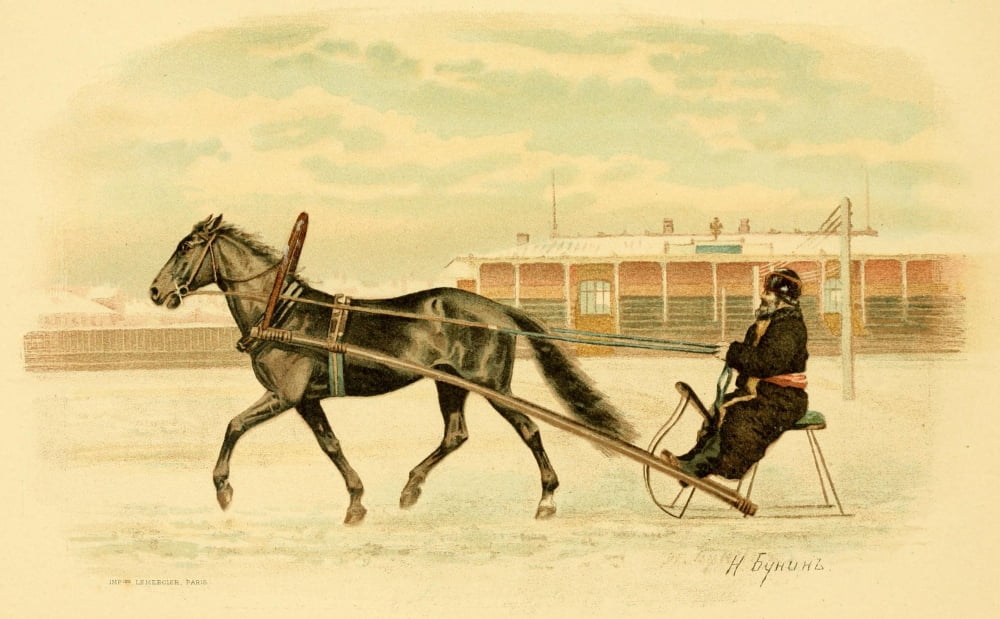 Les Races Chevaline