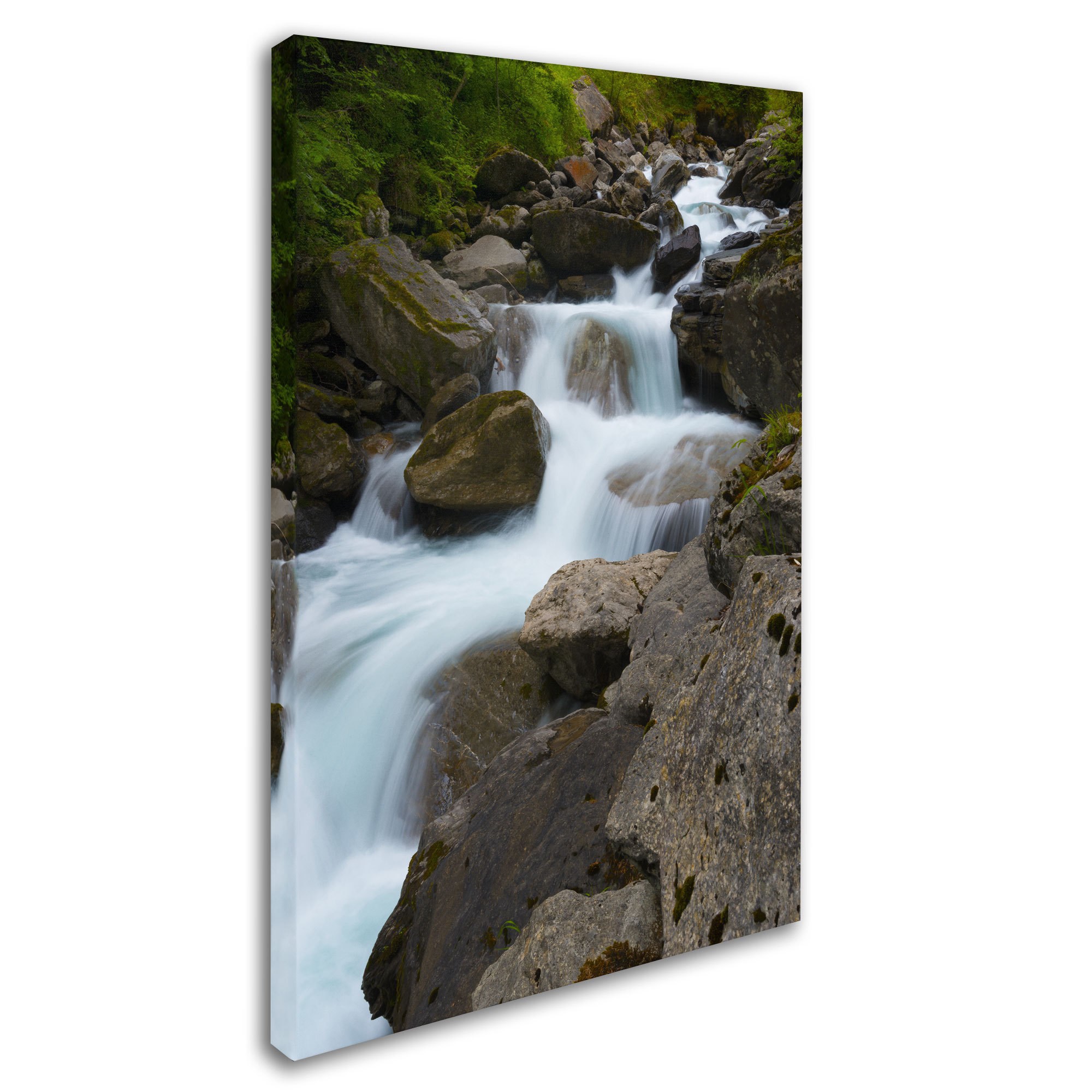 "Wet Rocks" Canvas Art by Philippe Sainte-Laudy