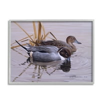 Stupell Industries Ducks with Pond Ripples Animals & Insects Painting Gray Framed Art Print Wall Art, 30 x 24
