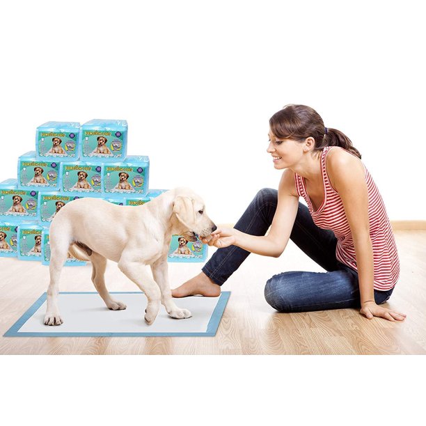 Premium XXL Training Pads (200 Count) Largest & Most Absorbent Urine